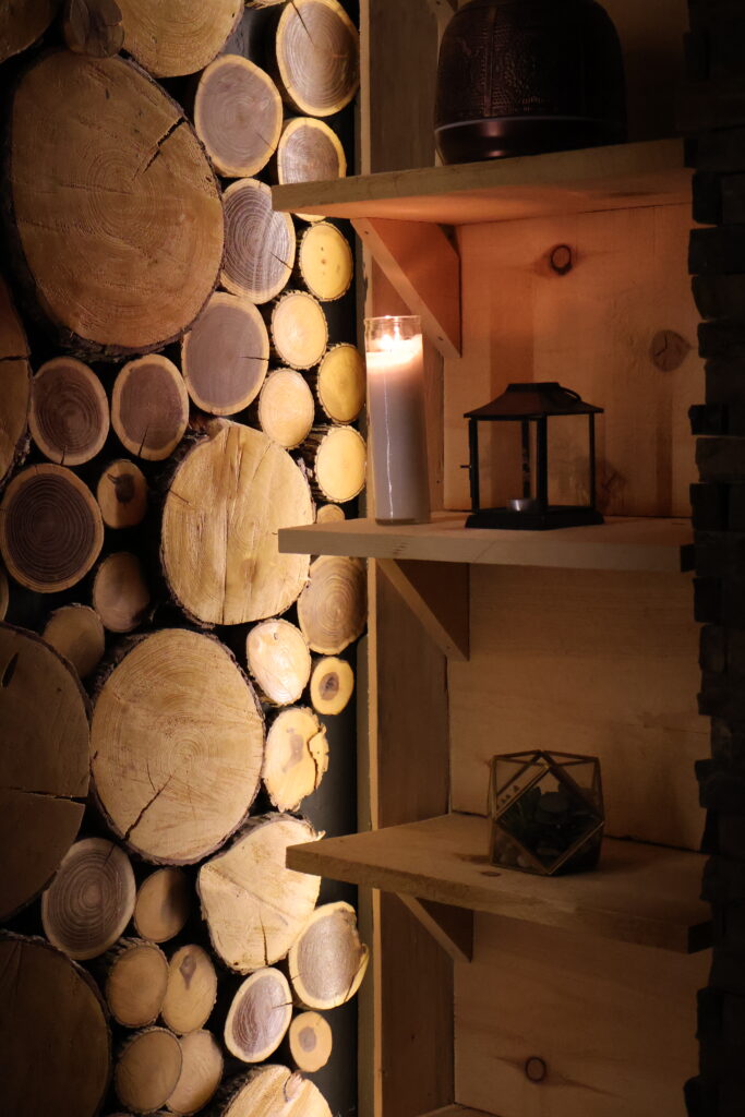 Earth Room