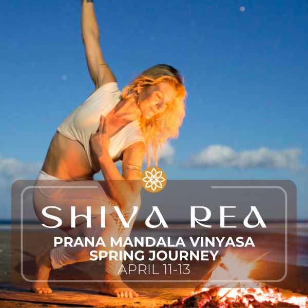 Shiva Rea - Ocean V1